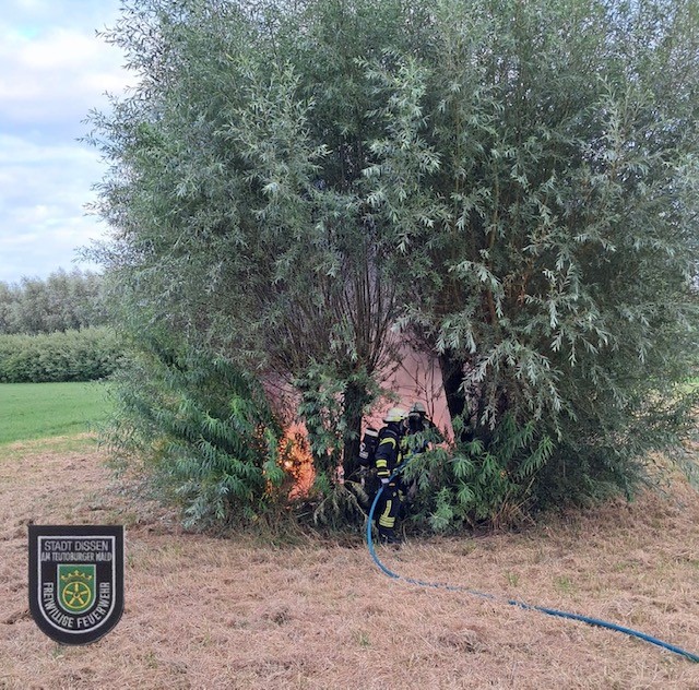 +++ 🚒 F1 - Brand von Bäumen in Regenauffangbecken +++ - Bild 2